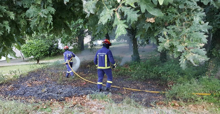 Princípio de fogo na Quinta do Bosque