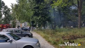Bombeiros combatem princípio de fogo na Quinta do Bosque