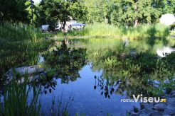 Viseu Sabe Bem | Imagens | Parque Aquilino Ribeiro