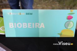 Viseu Sabe Bem | Imagens | Parque Aquilino Ribeiro