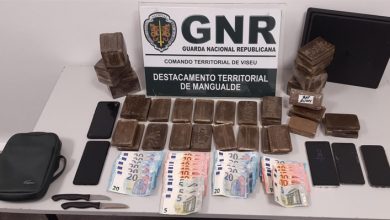 11 mil doses de haxixe apreendidos em Viseu