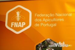 feira nacional do mel em viseu