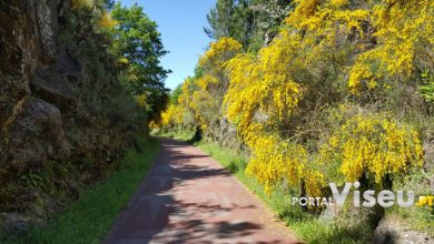 Condicionamentos dos Parques da cidade e Ecopista capa