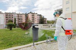 desinfeção urbana em Viseu