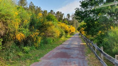 reabertura da ecopista em viseu