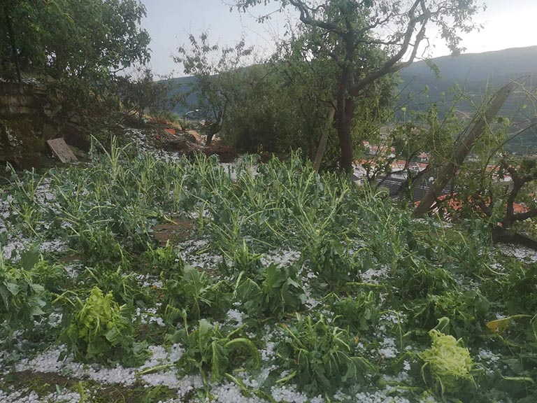 Chuva e Granizo em Viseu