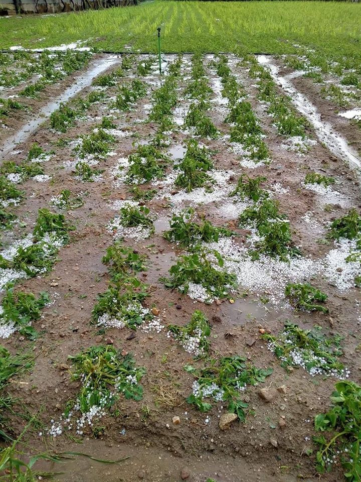 Chuva e Granizo em Viseu