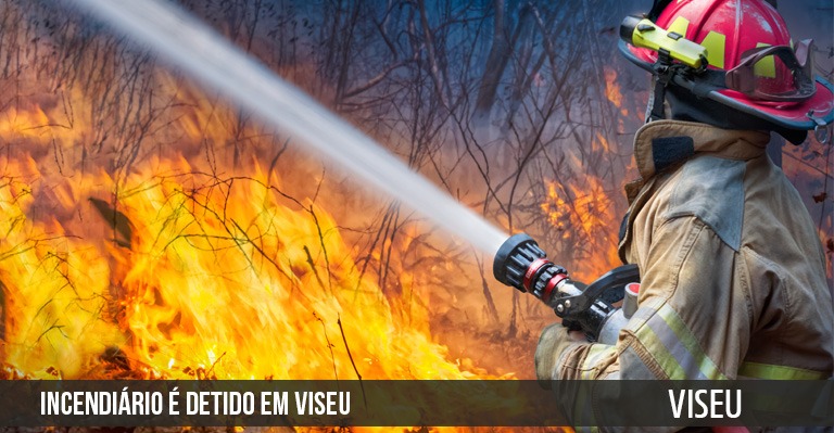 incendiario e detido em viseu