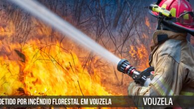 Detido-por-incendio-florestal-em-Vouzela