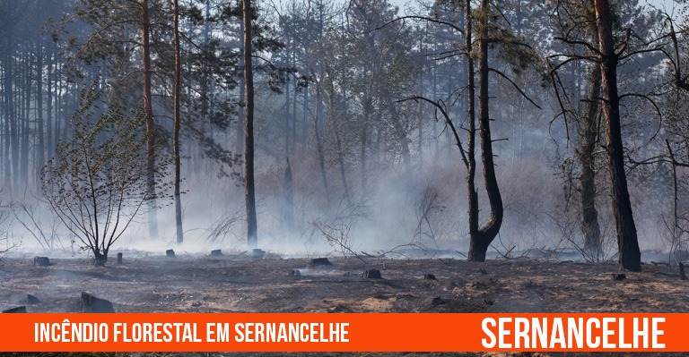 Incendio Florestal em Sernancelhe